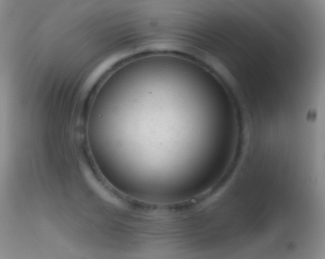 X0000114650934200910201505