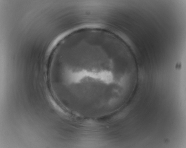 X0000114650935200910201505