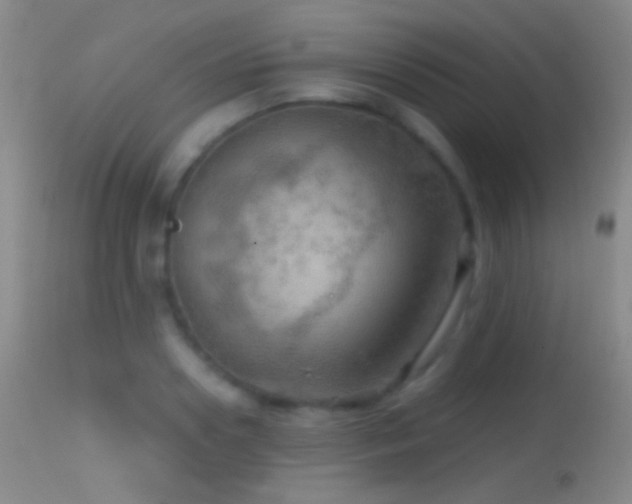 X0000114650938200910201505