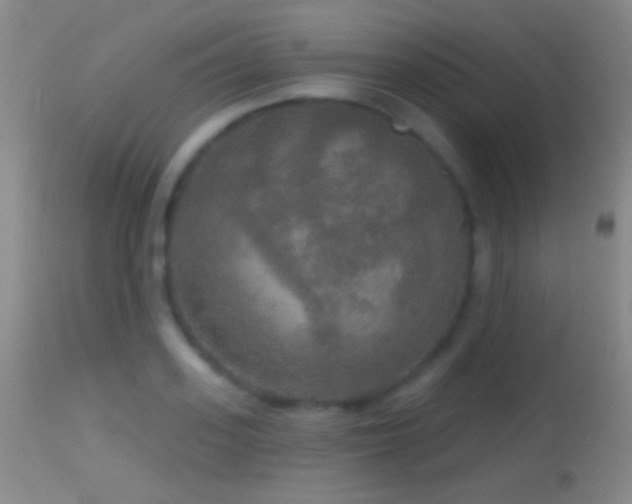 X0000114650939200910201505