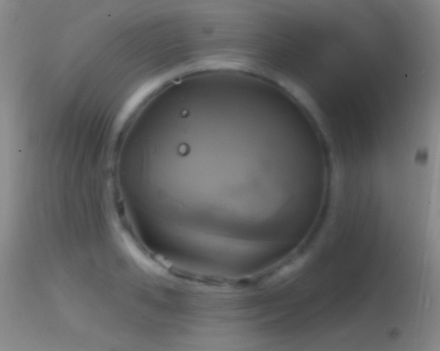 X0000114650941200910201505