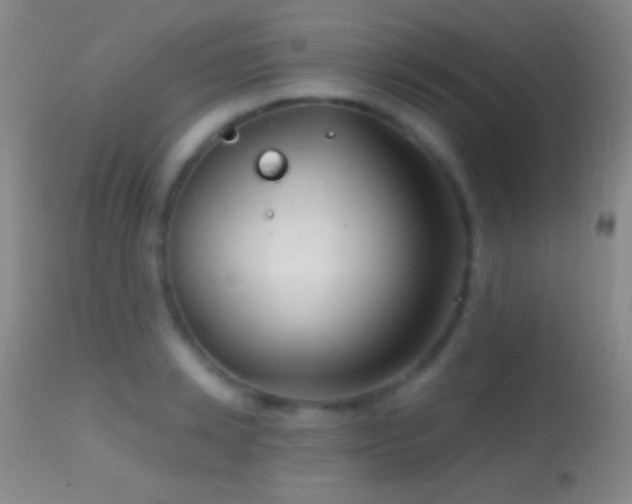 X0000114650942200910201505
