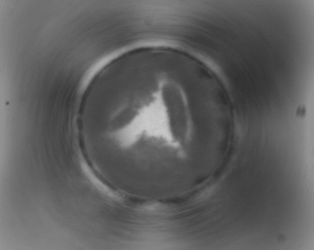 X0000114650943200910201505