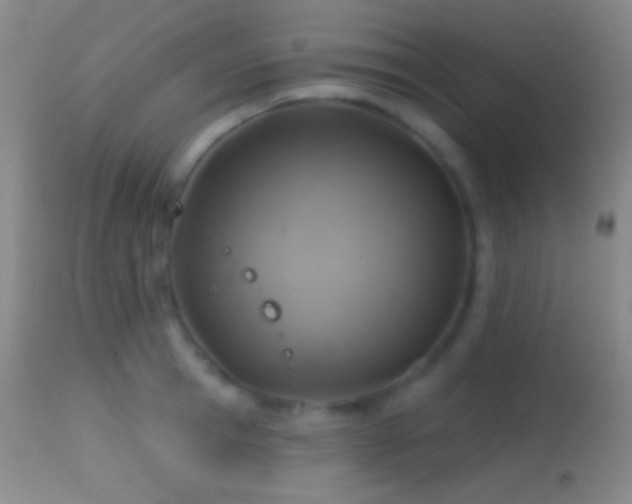 X0000114650945200910201505