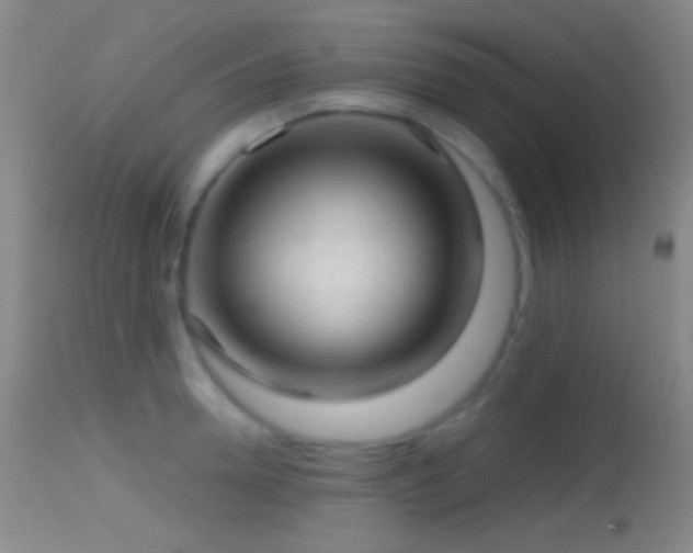 X0000114650946200910201505