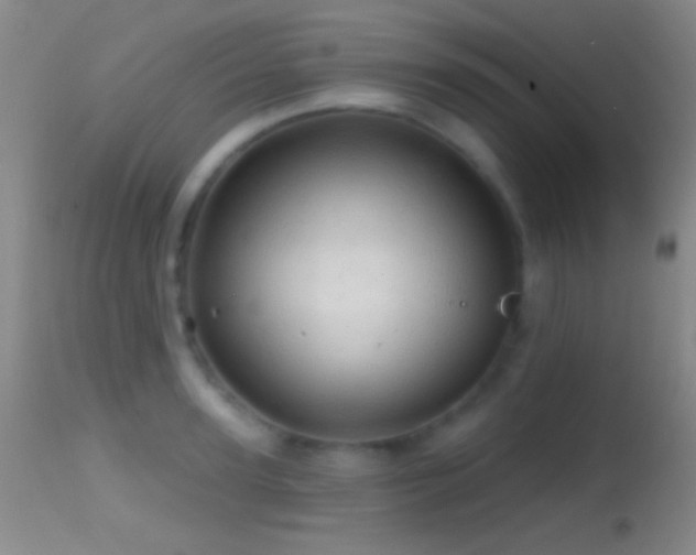 X0000114650947200910201505