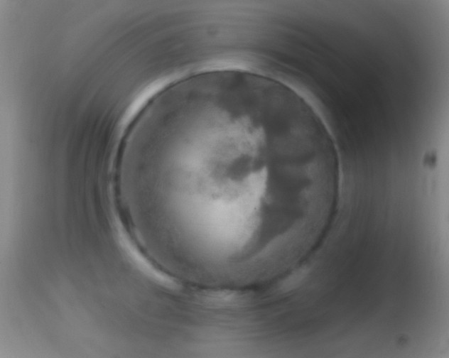 X0000114650949200910201505