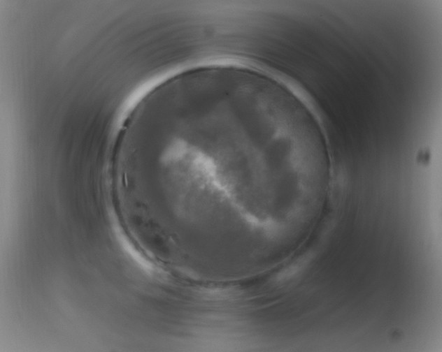 X0000114650951200910201505