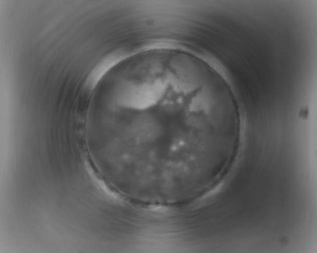 X0000114650953200910201505