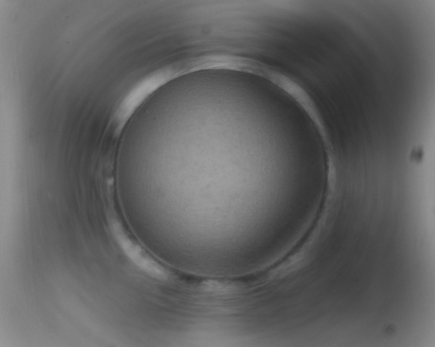 X0000114650954200910201505