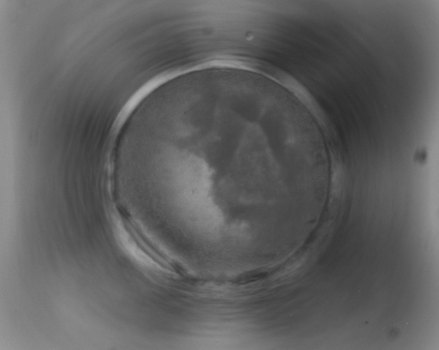 X0000114650955200910201505