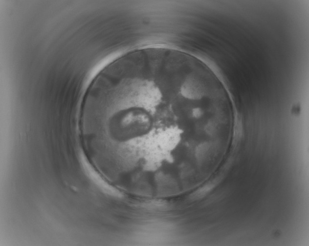 X0000114650957200910201505