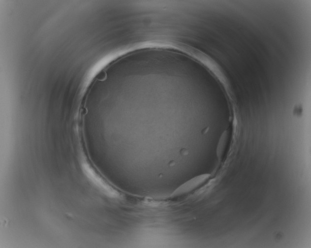 X0000114650958200910201505