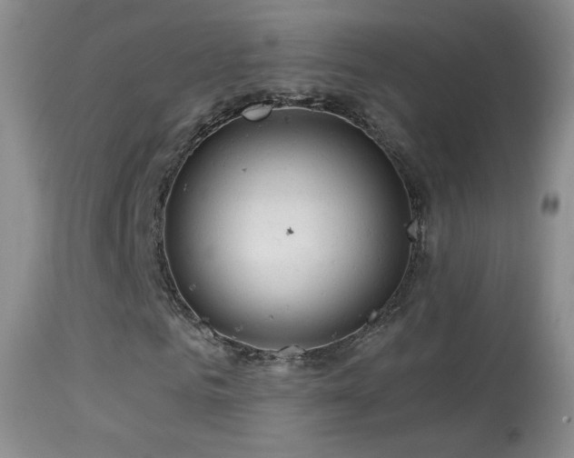 X0000114650961200910201505