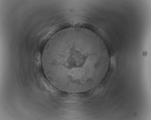X0000114650963200910201505