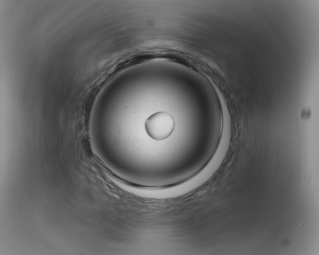 X0000114650965200910201505