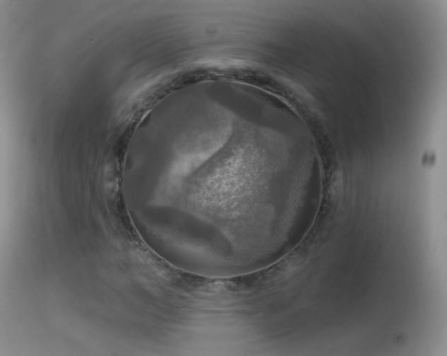X0000114650966200910201505