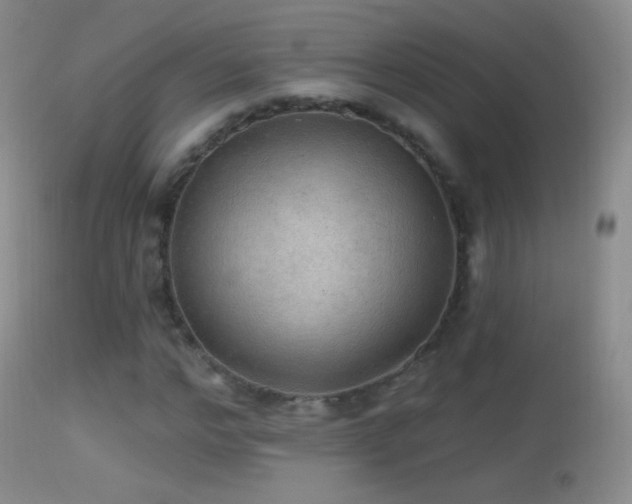 X0000114650968200910201505