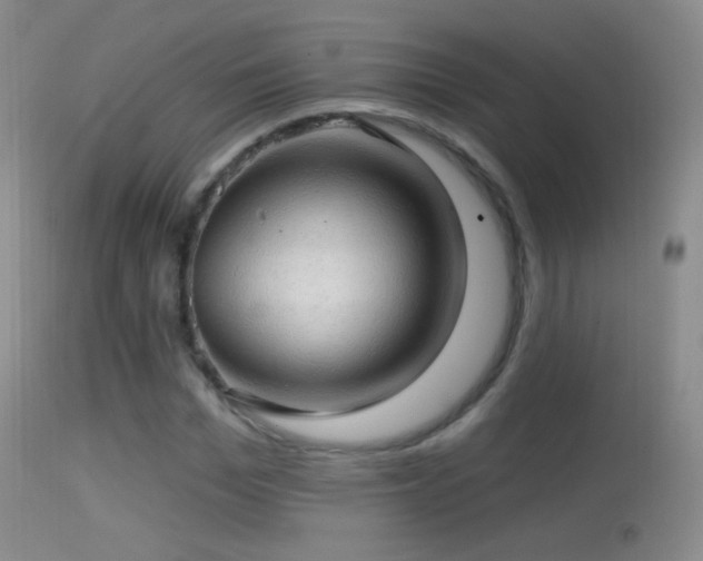 X0000114650969200910201505