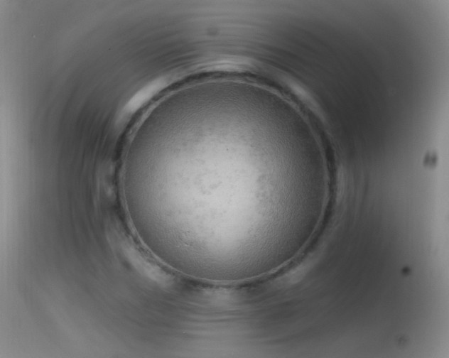 X0000114650970200910201505