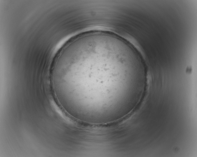 X0000114650972200910201505