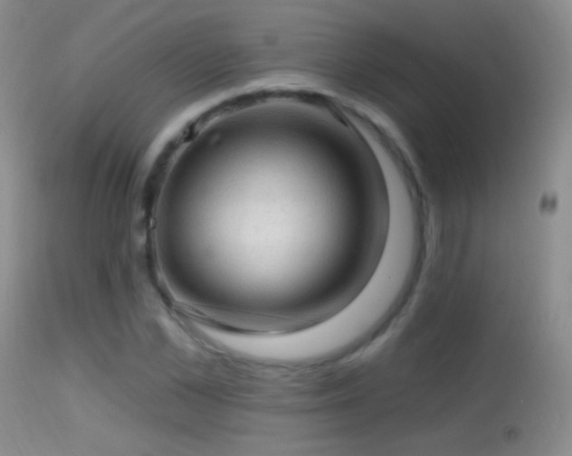 X0000114650973200910201505