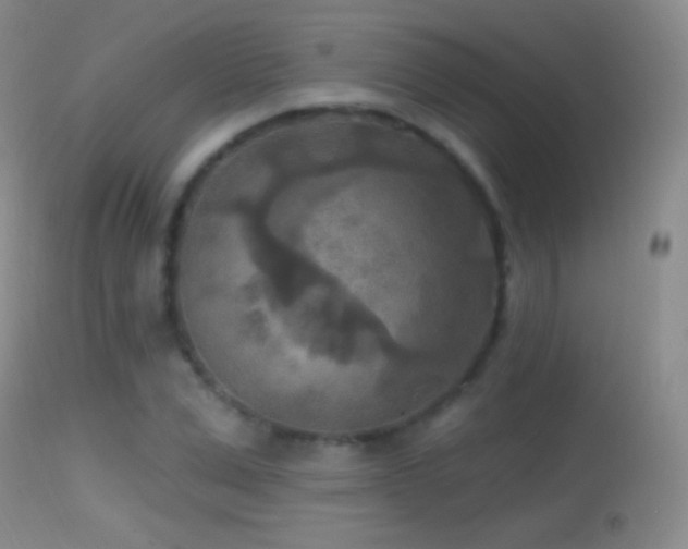 X0000114650975200910201505