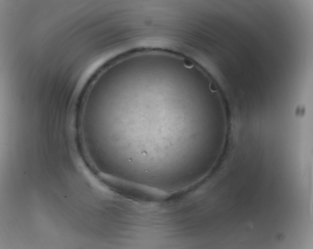 X0000114650976200910201505