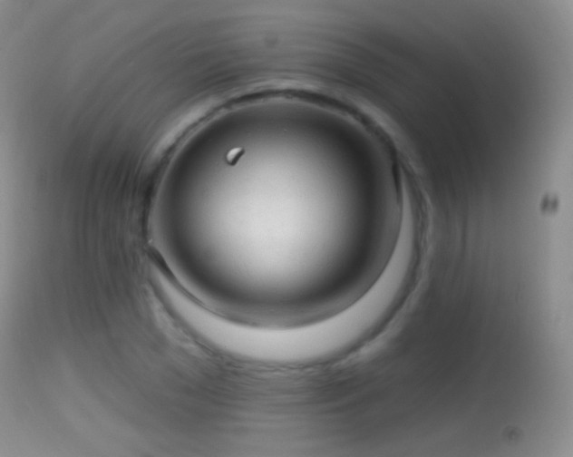 X0000114650977200910201505