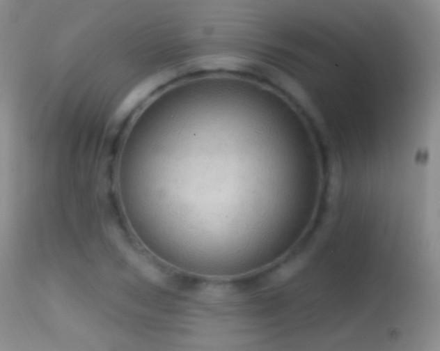 X0000114650978200910201505