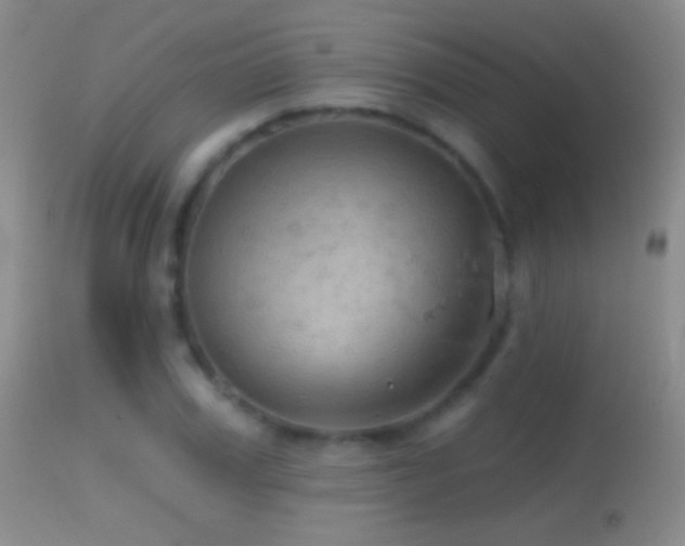 X0000114650979200910201505