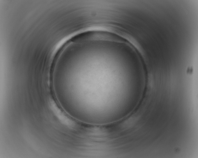 X0000114650980200910201505