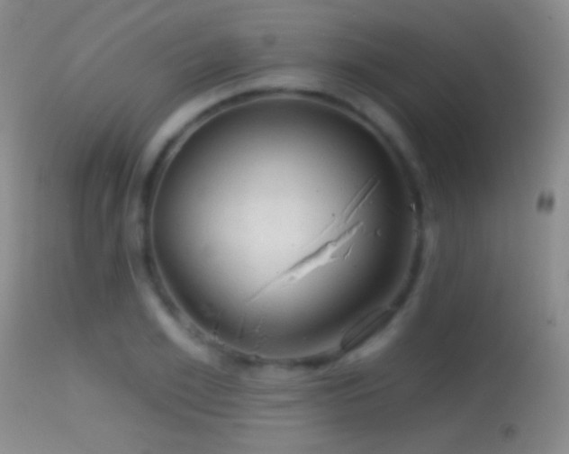 X0000114650981200910201505