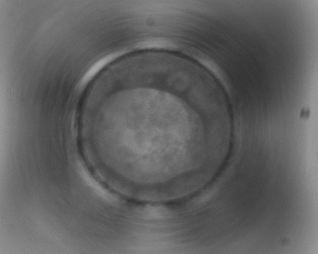 X0000114650983200910201505