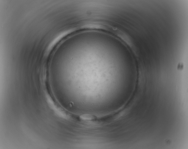X0000114650984200910201505