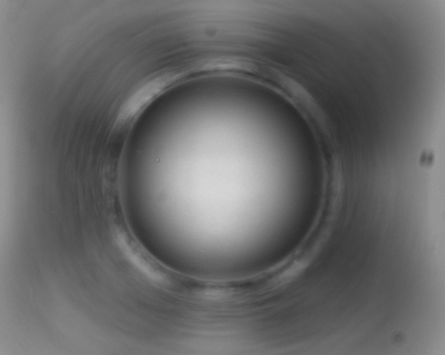 X0000114650985200910201504