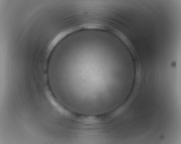 X0000114650986200910201504