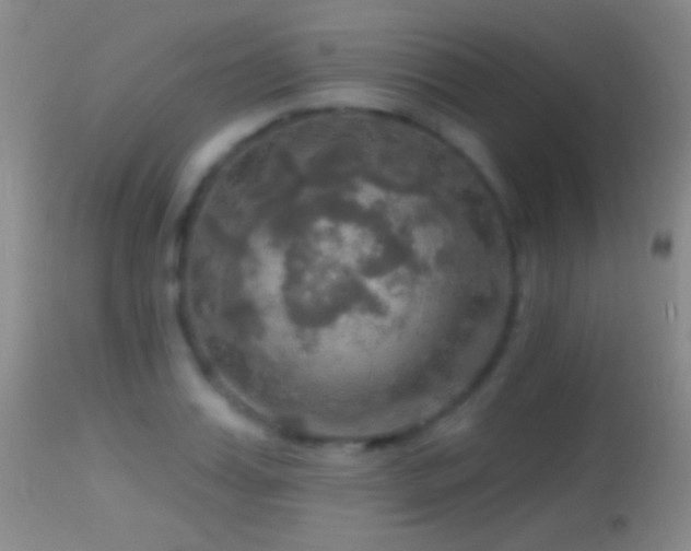 X0000114650987200910201504