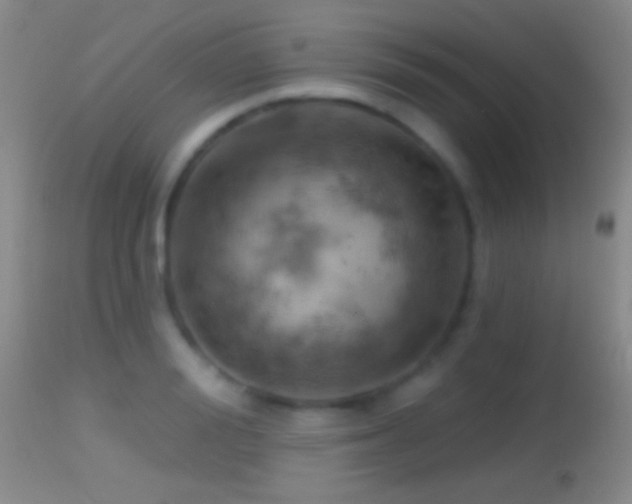 X0000114650988200910201504
