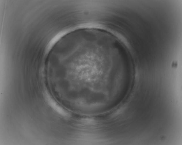 X0000114650990200910201504
