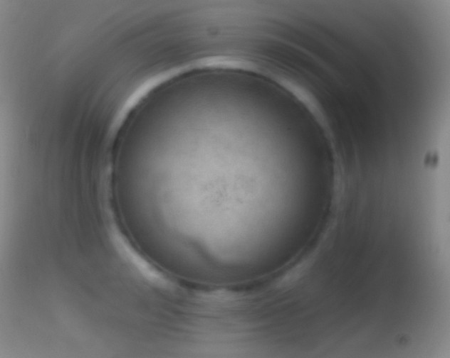 X0000114650992200910201504