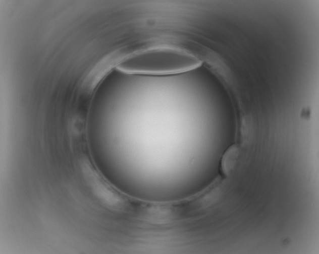X0000114650993200910201504
