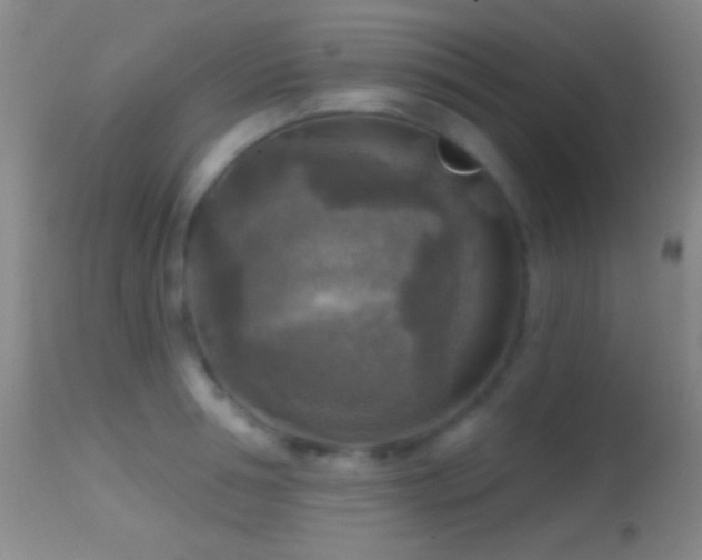 X0000114650994200910201504