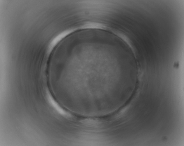 X0000114650995200910201504