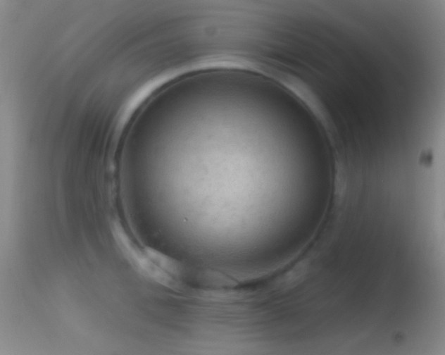 X0000114650996200910201504
