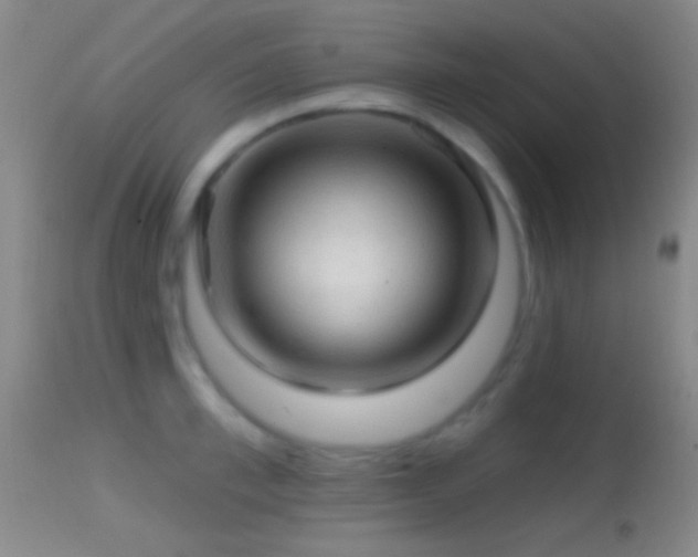 X0000114650997200910201504