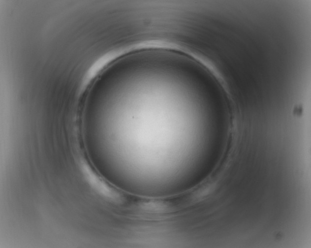 X0000114650998200910201504