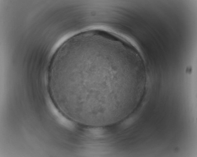 X0000114650999200910201504