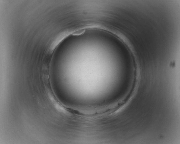 X0000114651001200910201504