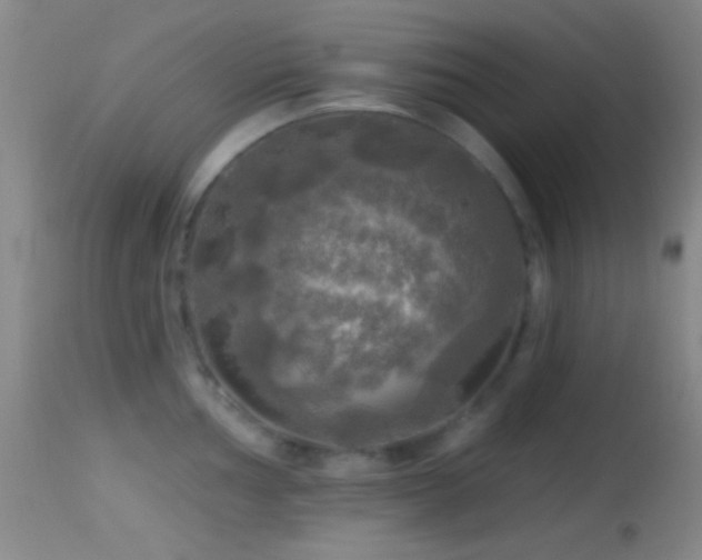 X0000114651002200910201504